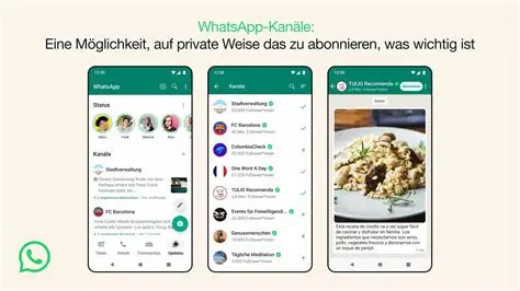 电脑玩WhatsApp会封号吗?实测同步消息的3种方法